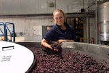Winemaker Nadja Wallington standing with a handful of grapes at a winery in central west New South Wales