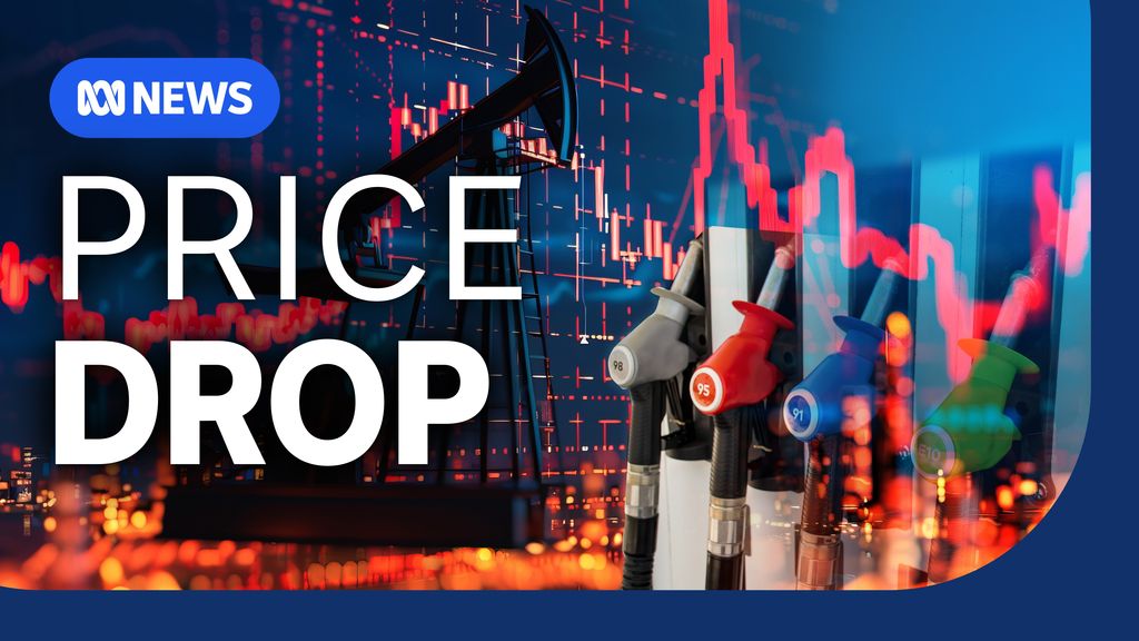 Why fuel prices are expected to fall - ABC News