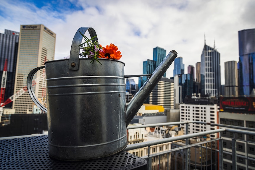A close-up of a watering can amid a cityscape.