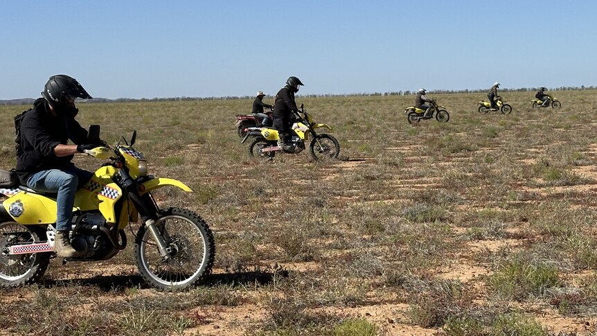 men on yellow police motorbikes through across a grassy plain.