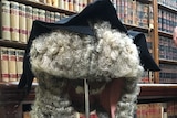 Victorian court wig