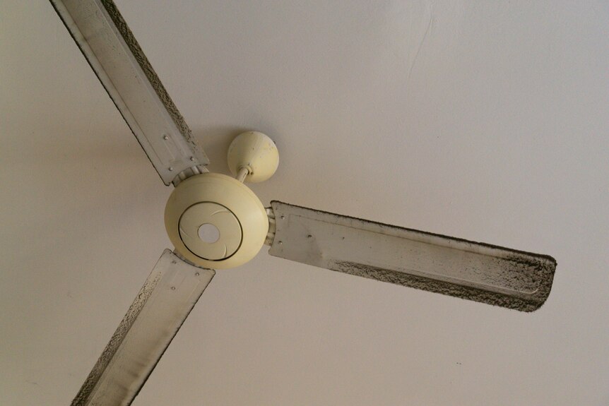 A white ceiling fan with three blades, which are coated in dust.
