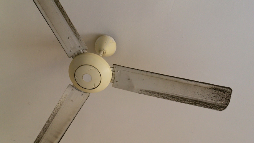 A white ceiling fan with three blades, which are coated in dust.