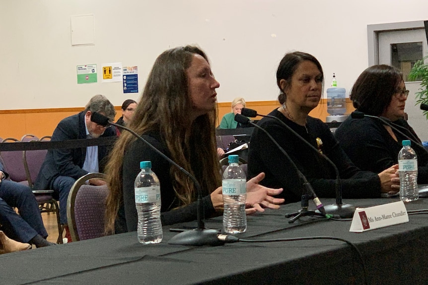 Women sitting at a table speaking at a parliamentary inquiry 