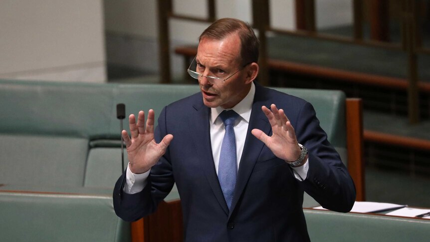Tony Abbott raises his hands up near his chest. He is frowning and looking down his nose. Hs glasses are balanced precariously.