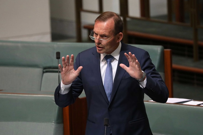 Tony Abbott raises his hands up near his chest. He is frowning and looking down his nose. Hs glasses are balanced precariously.