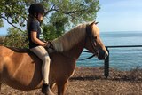 A nine-year-old girl sits on a small horse in a paddock with the ocean in the background.