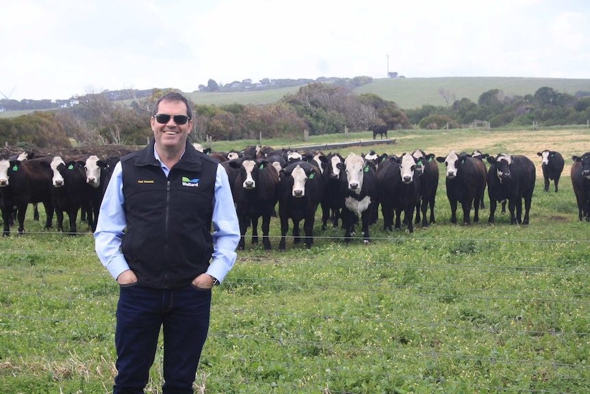 Fred Troncone standing in a paddock with cattle behind.