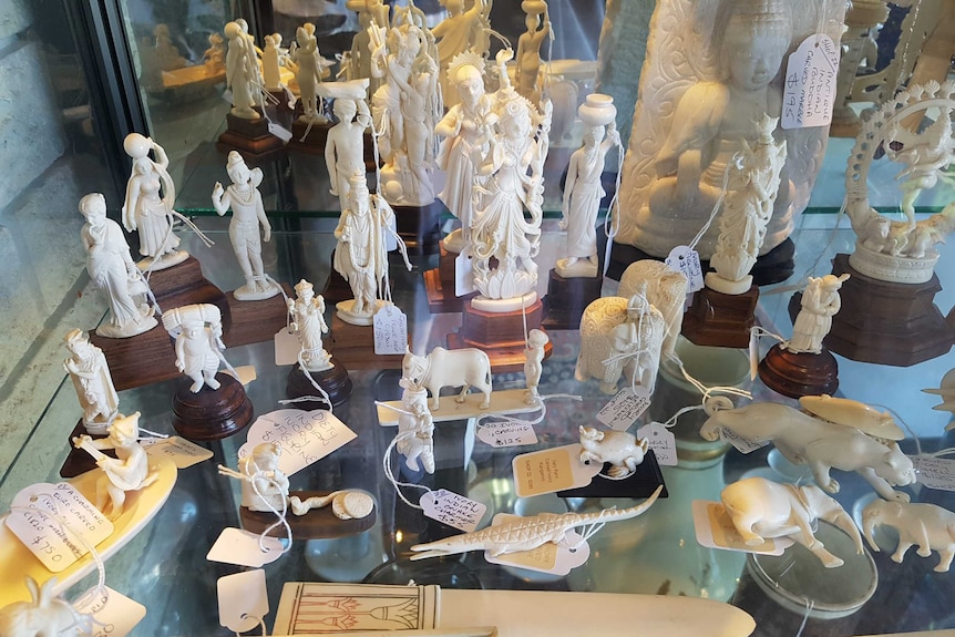 Ivory items for sale 4