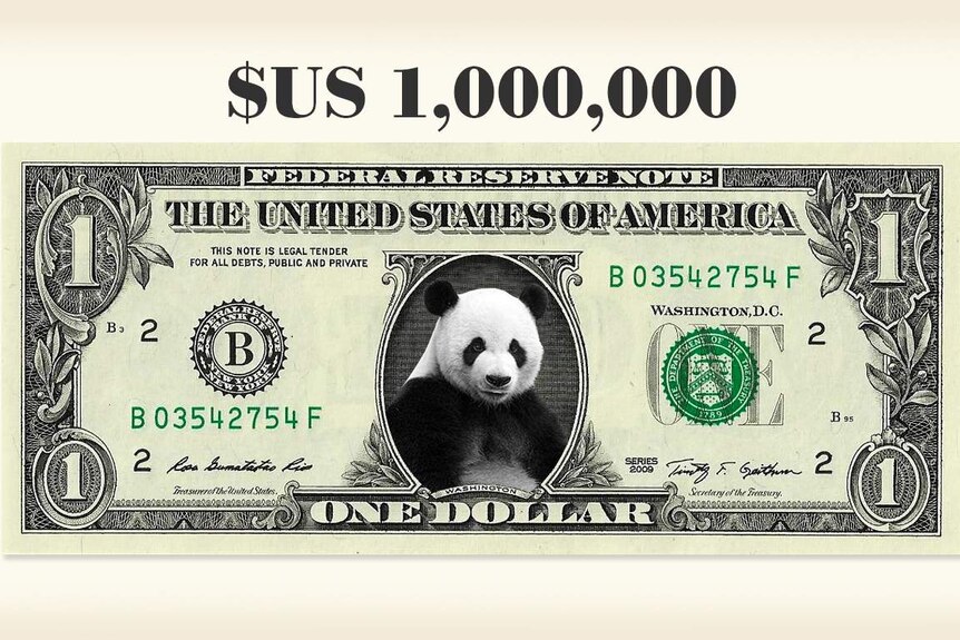 An American dollar note with the picture of a panda.