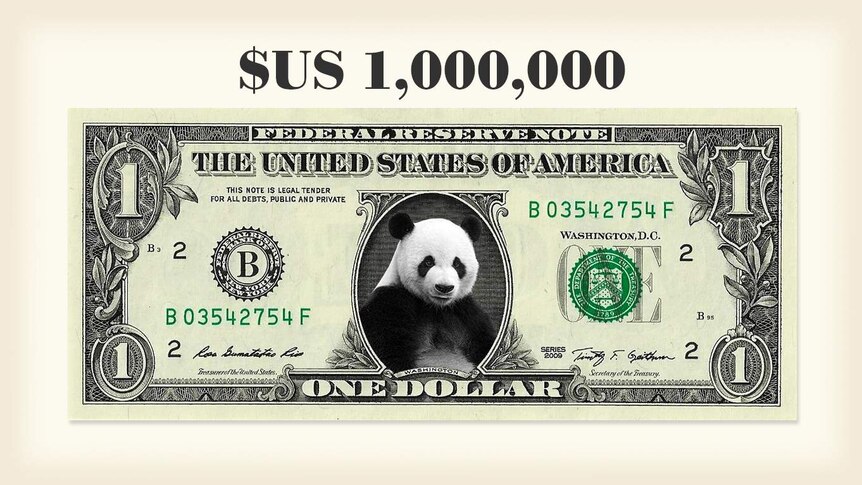 An American dollar note with the picture of a panda.