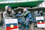 Protesters locked onto machinery at Wild Cattle Creek State Forest