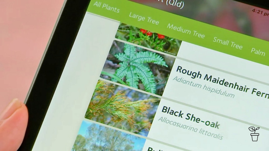 Computer tablet screen with native plants listed