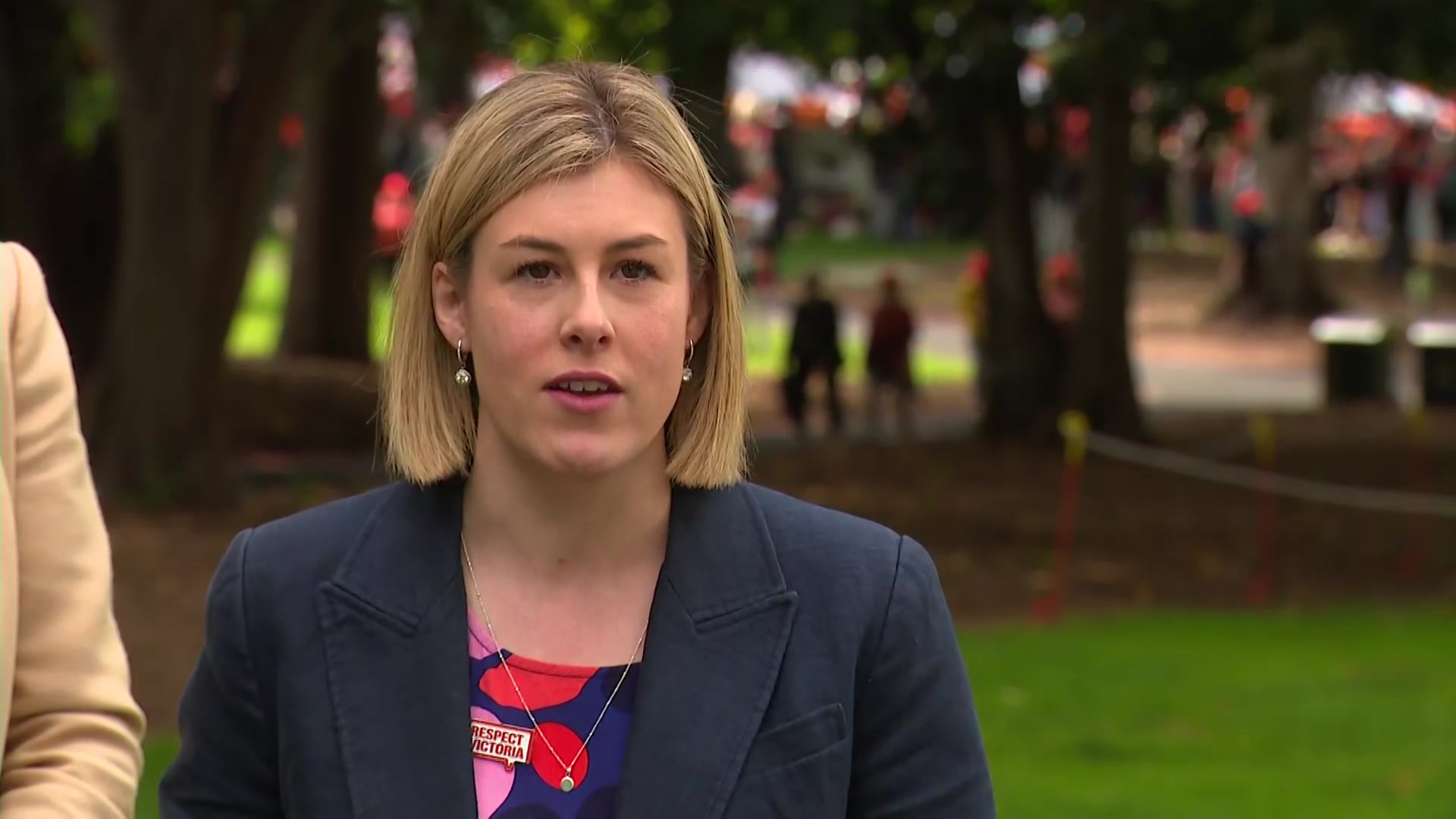 Victorian opposition leader targets domestic violence in first policy