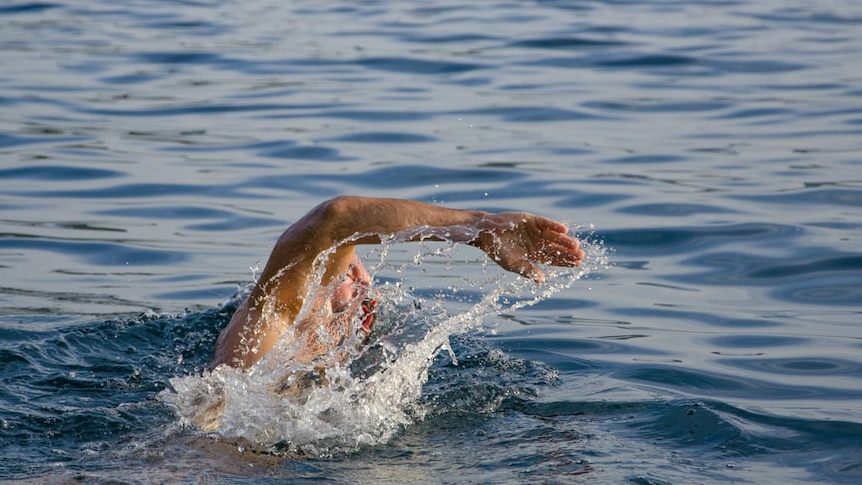 Man swimming freestyle in open water.