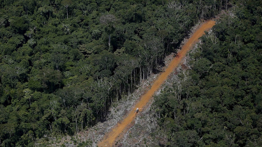 Aerial shot of a dirt track lane through the Amazon used by illegal miners.