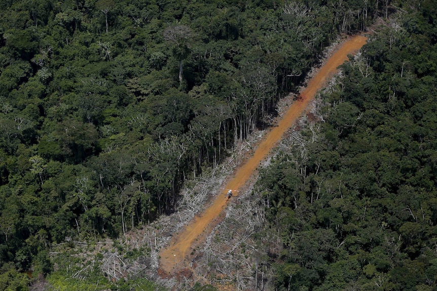 Aerial shot of a dirt track lane through the Amazon used by illegal miners.