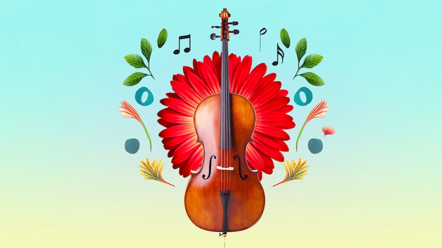 A violin is photoshopped on a yellow to blue gradient background with a red flower and floral and music motifs around it