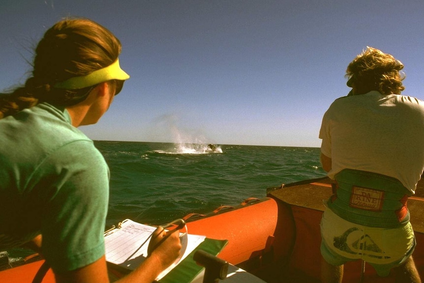 Micheline and Curt Jenner studying whales