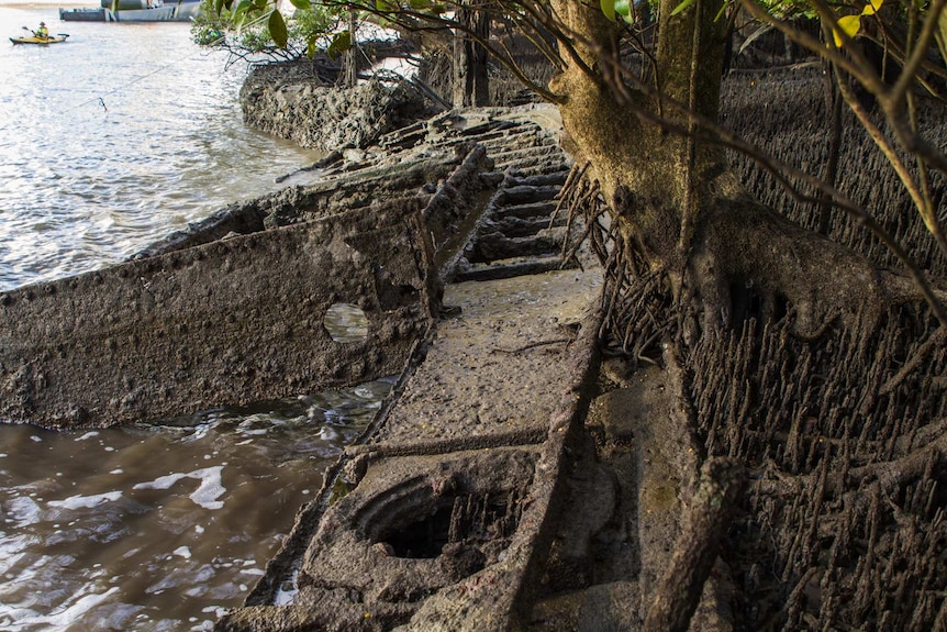 Shipwreck on the bank of a river with mangroves.