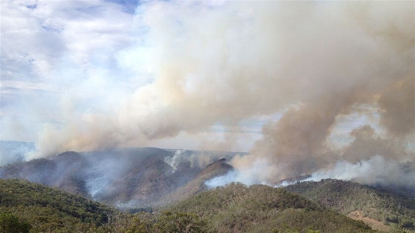 Smoke rises from bushfire
