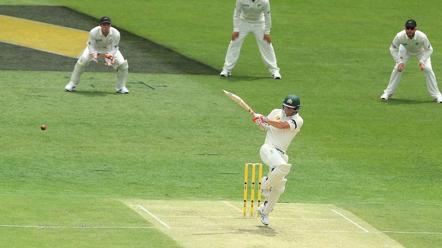 Warner hunts for runs against New Zealand