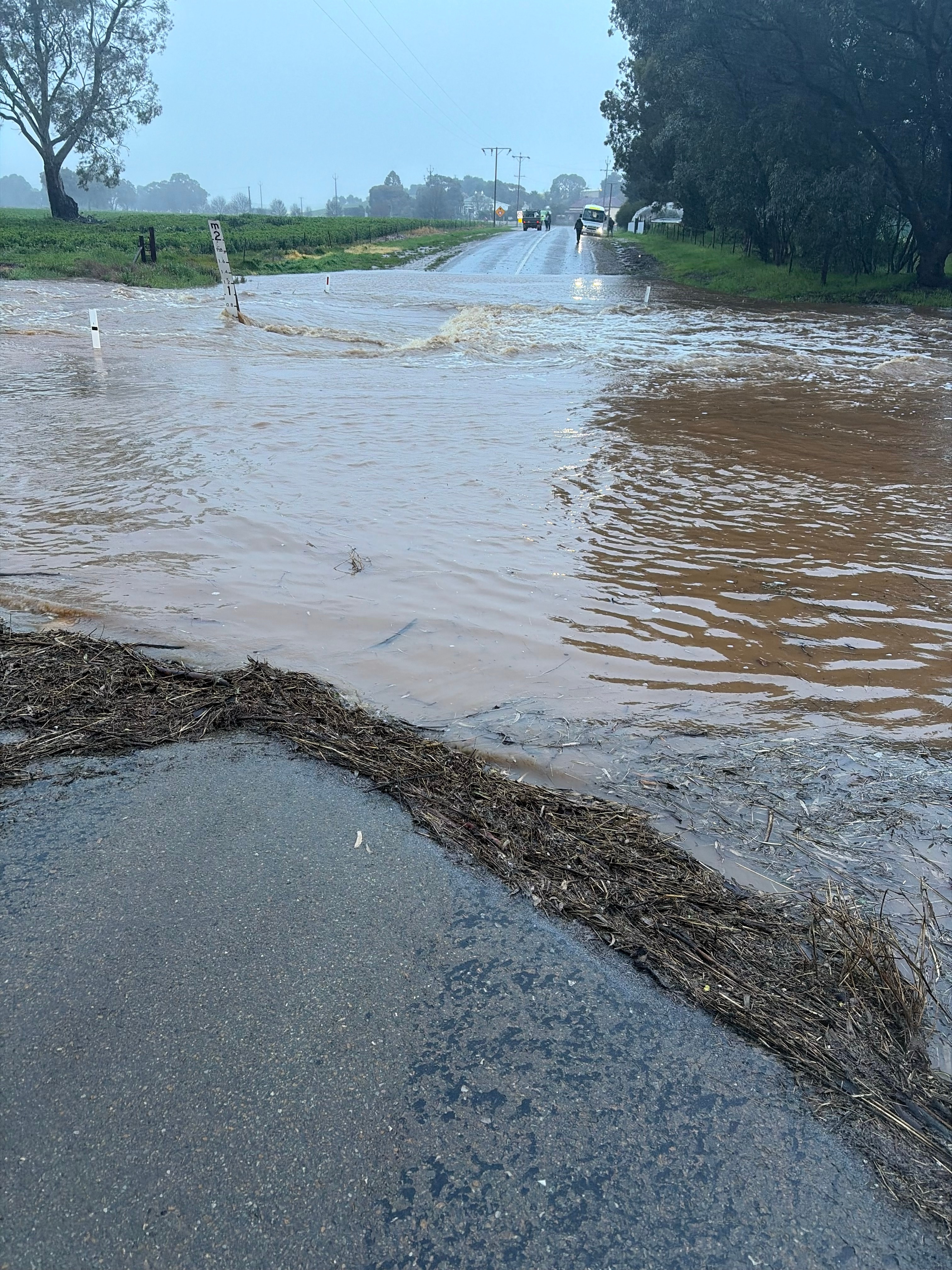 Rainfall records fall for August across SA as Telstra services disrupted