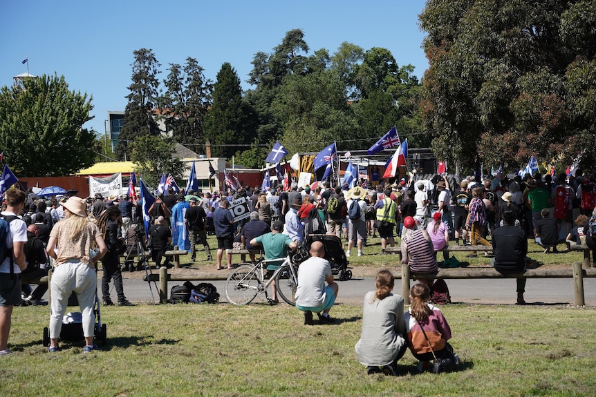 A crowd of people, many waving nationalist flags, at a protest.