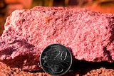 Lepidolite next to a 20c coin, which is used to produce lithium carbonate for consumer electronic goods
