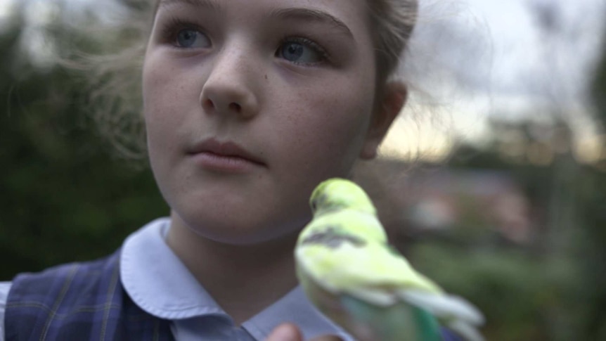 Molly Lucas holding her pet bird