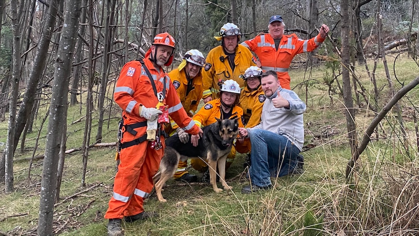 Dog rescued unharmed from Beaconsfield mines on anniversary of 2006 rescue by survivor