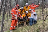 A team of rescuers surround a German shepherd dog.