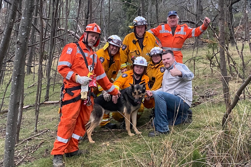 A team of rescuers surround a German shepherd dog.