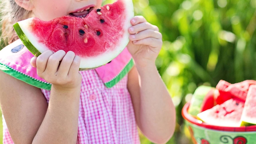 Little girl in pink dress eating watermelon for story about getting fussy eaters to eat