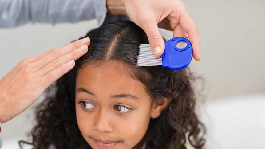Combing with a lice comb
