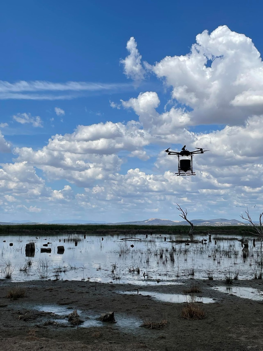 A drone flying across a wetland
