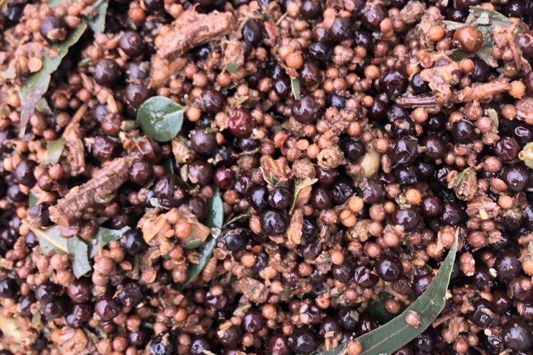 A wet mixture of grains seeds and leaves.