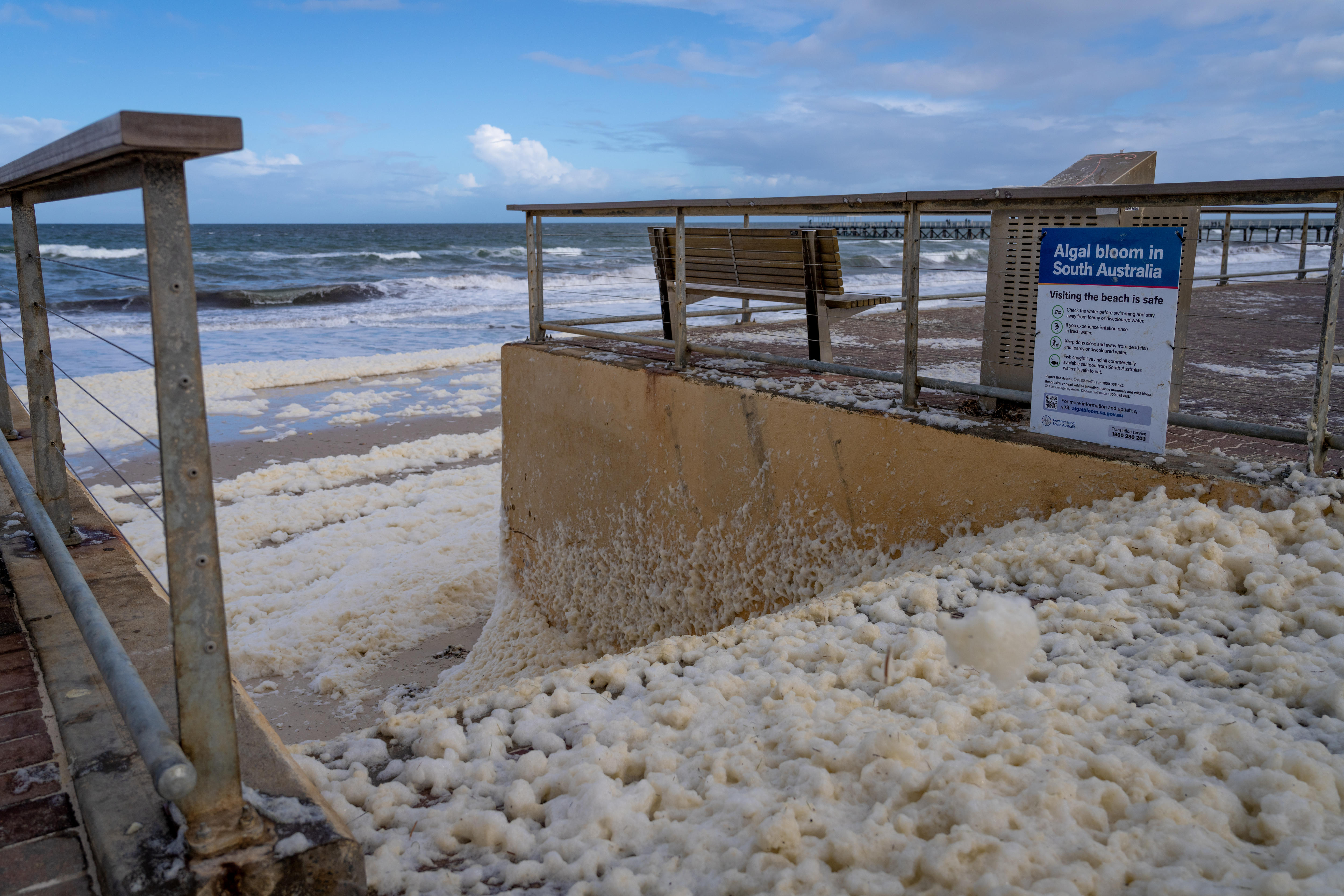Foam at an Adelaide beach amid an algal bloom.