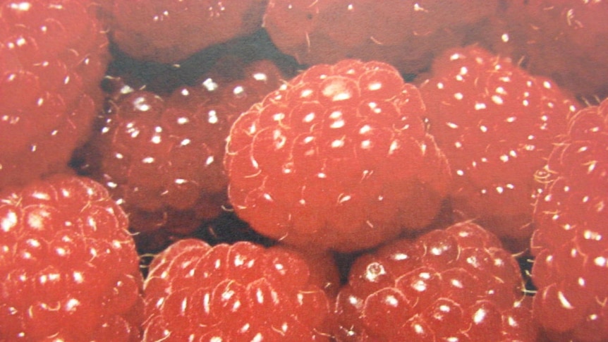 raspberries at point of sale