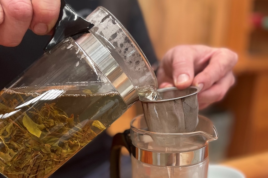 Image of tea being poured into a cup.