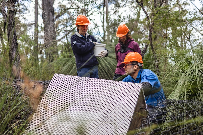 A man handles a large metal container in the bush, while two women look on. They are all wearing orange hardhats