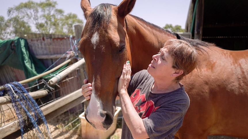 A woman patting a horse on both sides of its head