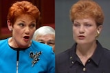 Composite images of Pauline Hanson speeches