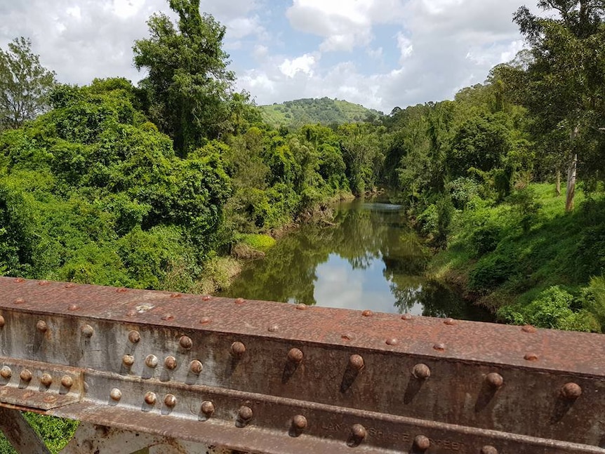 Lush green trees alongside a river, with bridge crossing