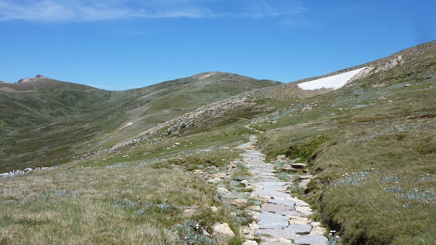 Mt Kosciuszko