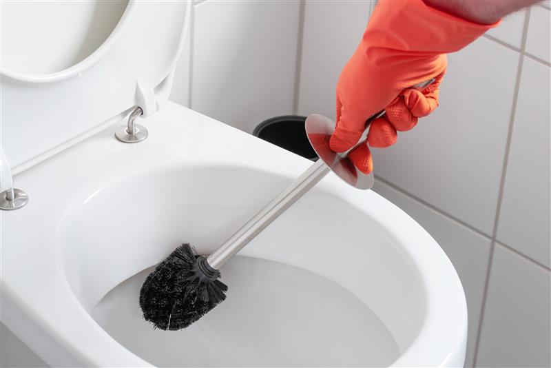 How to Clean and When to Replace Your Toilet Brush
