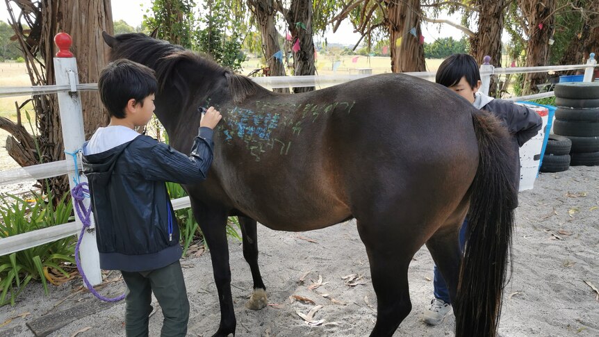 Kids write on a horse in crayon.
