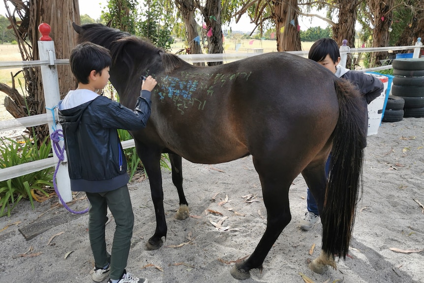 Kids write on a horse in crayon.