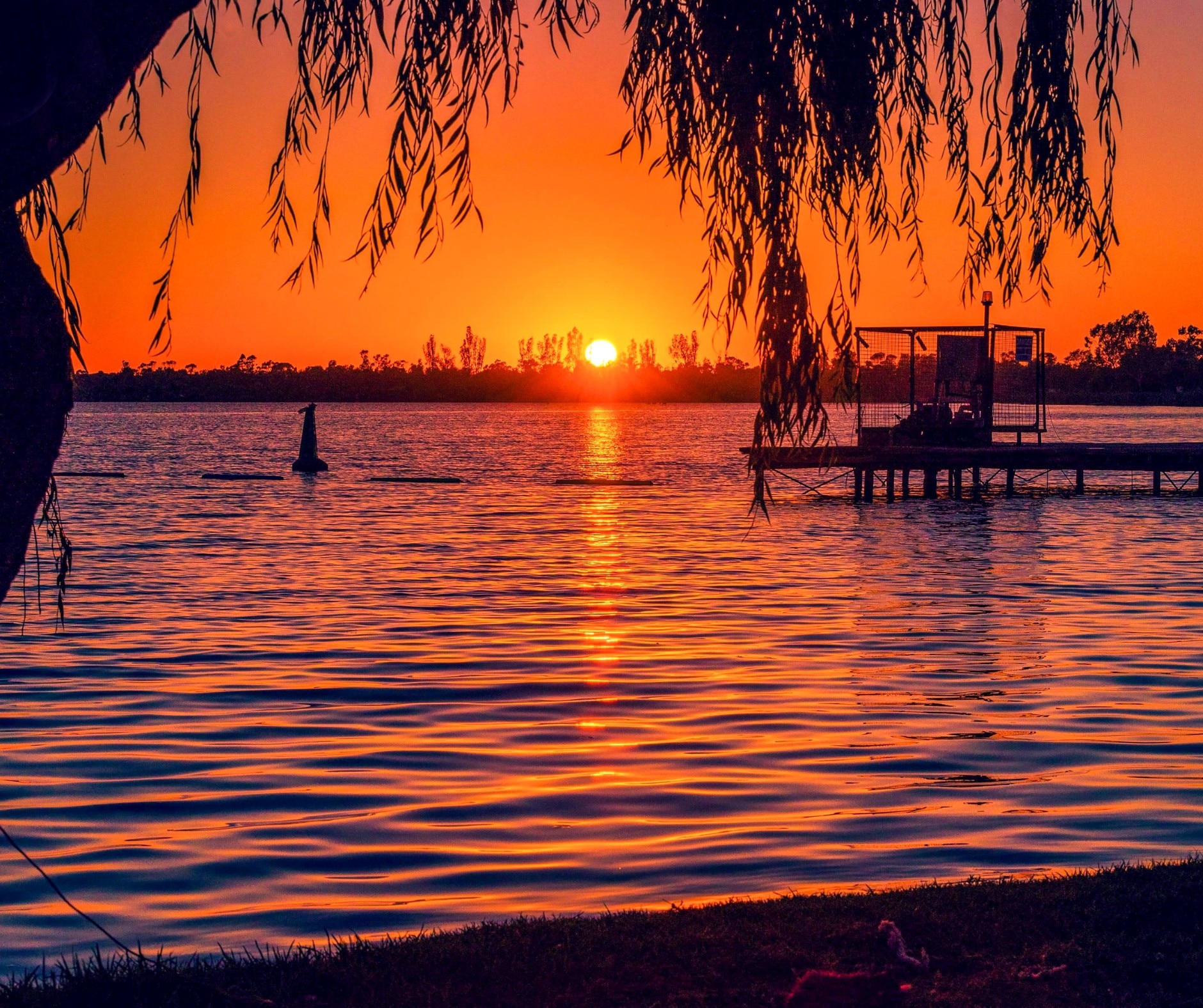 cfd9dacefa3cd9e874f77fdea2ecd7eb?impolicy=wcms_crop_resize&amp;cropH=1576&amp;cropW=887&amp;xPos=479&amp;yPos=0&amp;width=862&amp;height=1533