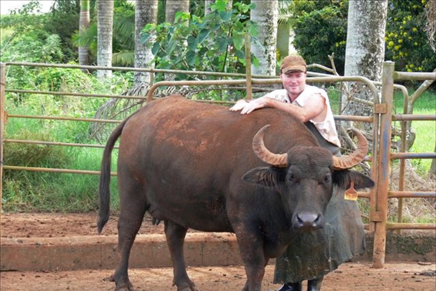 "Donarto" an Italian full blood stud bull with his owner Mitch Humphries.